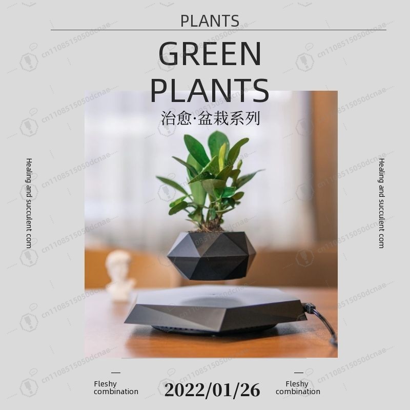 Bonsai.Tech Office - Magnetic Levitation Flower Pot, Exotic Floating