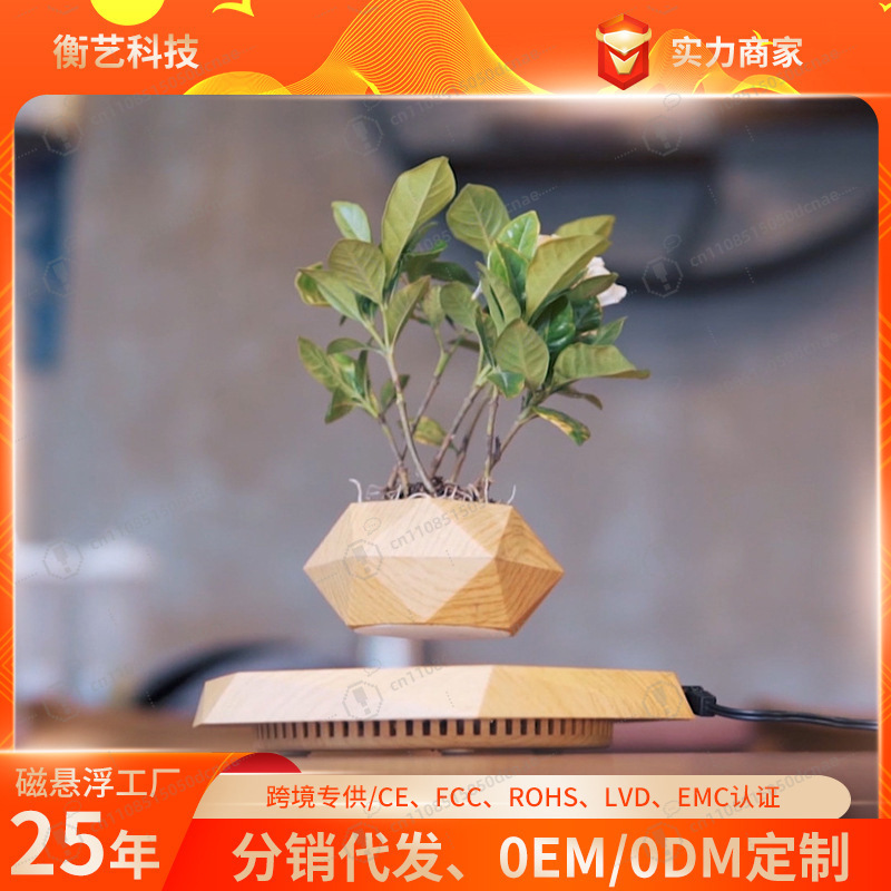 Magnetic Levitation Flower Pot - Bonsai.Tech Office のレビューと価格