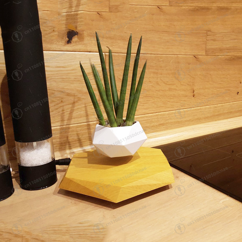 Magnetic Levitation Flower Pot - Bonsai.Tech Office のレビューと価格