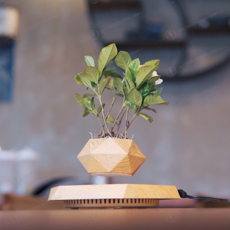 Magnetic Levitation Flower Pot - Bonsai.Tech Office のレビューと価格